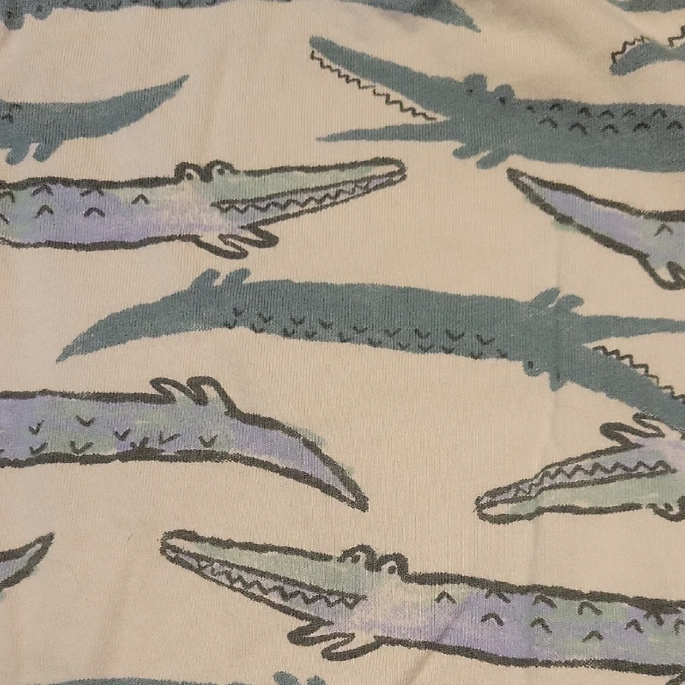Carter's 2pc Crocodile Outfit